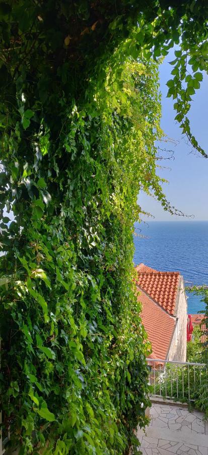 Ante Daire Dubrovnik Dış mekan fotoğraf